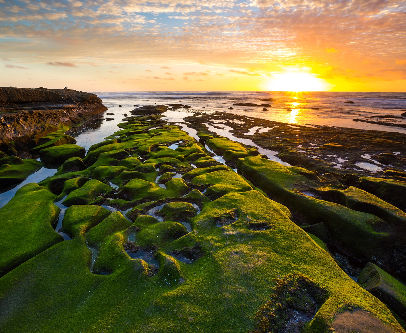 shoreline at sunset