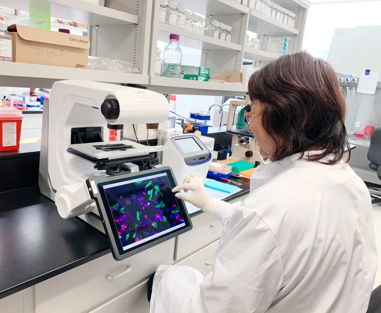 Lab2