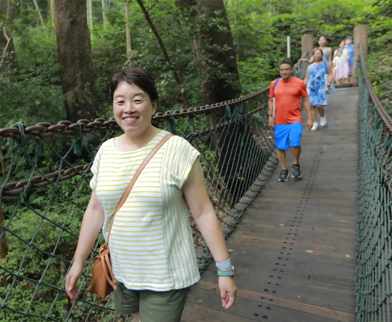 bridge